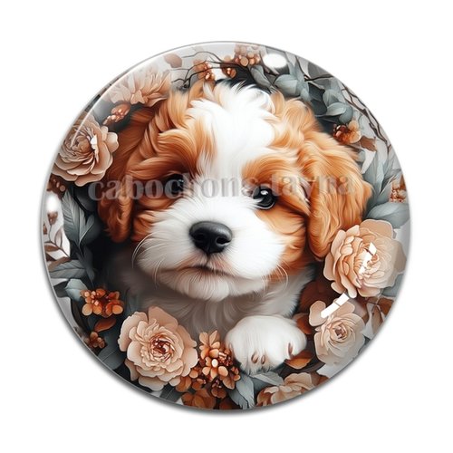 Cabochon chien, cabochon résine ou verre rond différente taille
