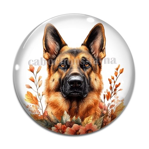 Cabochon chien, cabochon résine ou verre rond différente taille