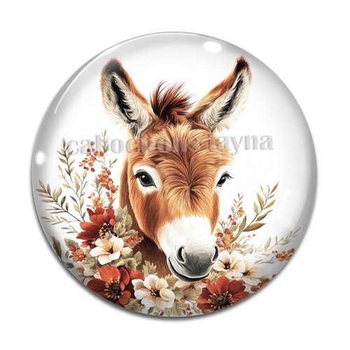 Cabochon ane, cabochon résine ou verre rond différente taille