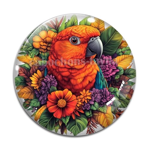 Cabochon oiseaux, cabochon résine ou verre rond différente taille