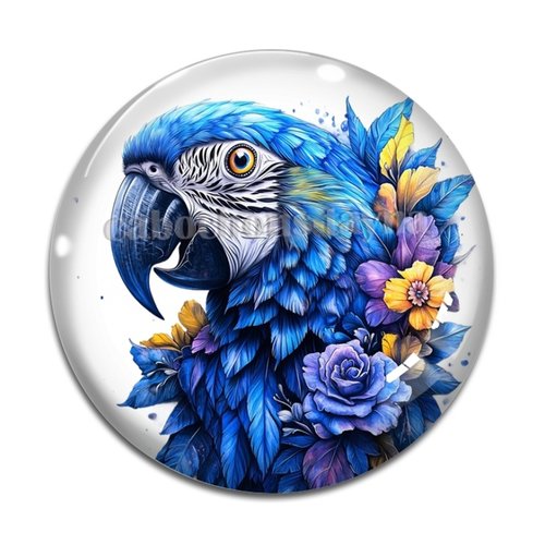 Cabochon oiseaux, cabochon résine ou verre rond différente taille