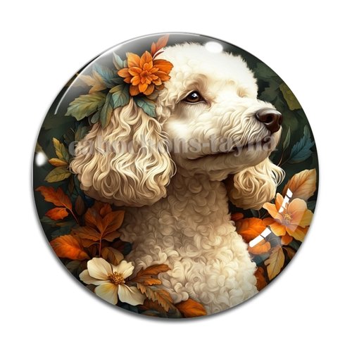 Cabochon chien, en résine ou en verre différente taille