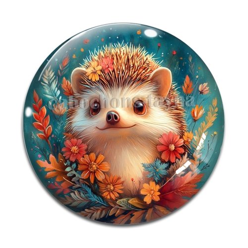 Cabochon hérisson, cabochon résine ou verre rond différente taille