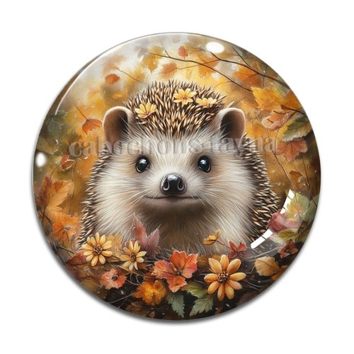 Cabochon hérisson, cabochon résine ou verre rond différente taille