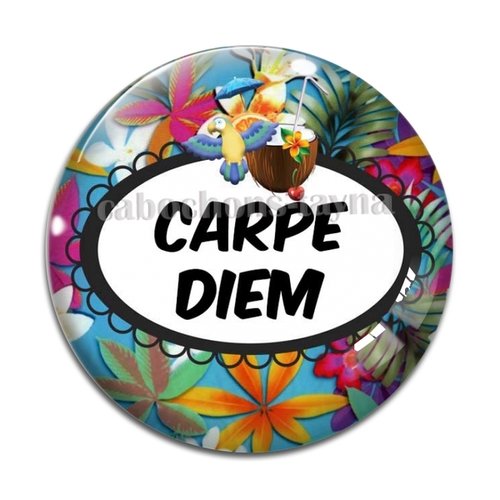 Cabochon carpe diem, cabochon résine ou verre rond différente taille