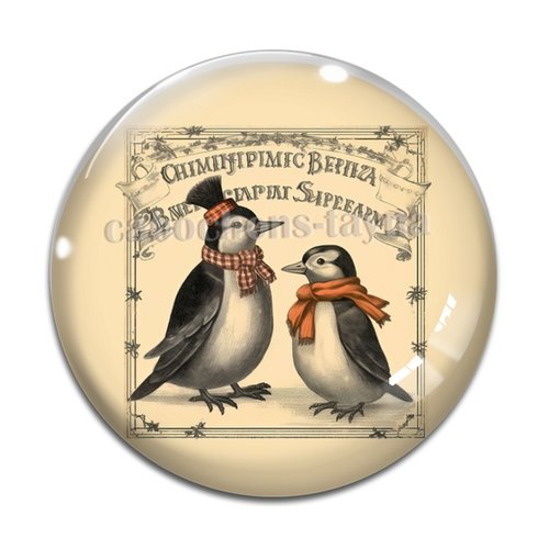 Cabochon pingouin, cabochon résine, verre rond différente taille