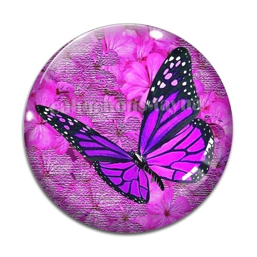 Cabochon papillon, résine ou verre différente taille