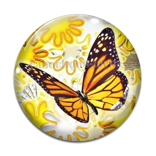 Cabochon papillon, résine ou verre différente taille