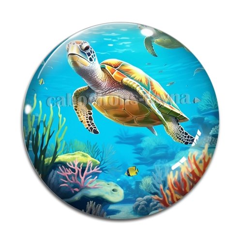 Cabochon tortue, résine ou verre différente taille