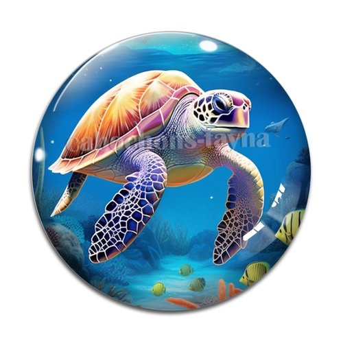 Cabochon tortue, résine ou verre différente taille
