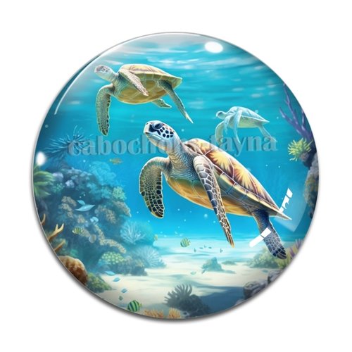 Cabochon tortue, résine ou verre différente taille