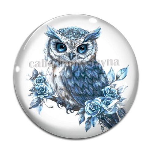 Cabochon chouette, en résine ou en verre différente taille