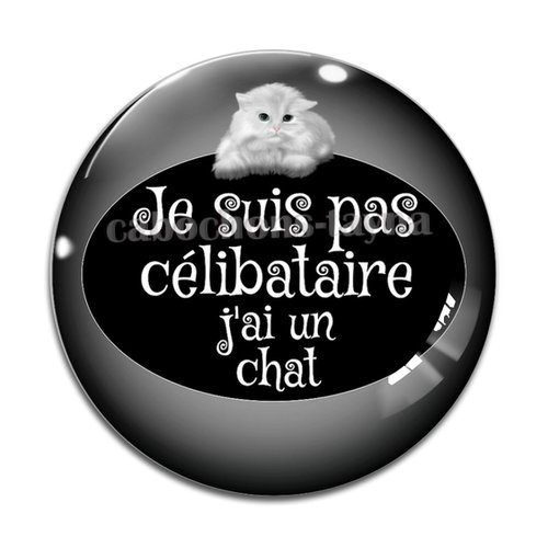Cabochon je ne suis pas célibataire j'ai un chat, résine ou verre différente taille
