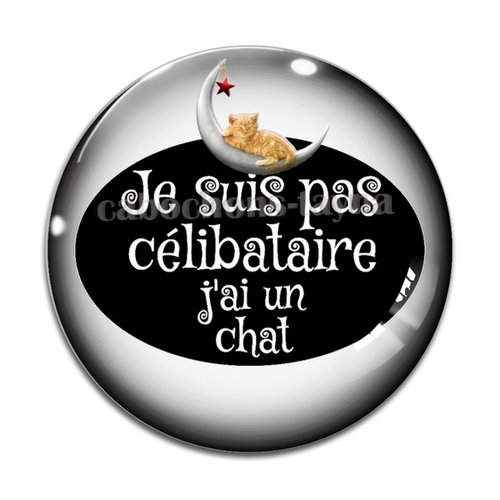 Cabochon je ne suis pas célibataire j'ai un chat, résine ou verre différente taille