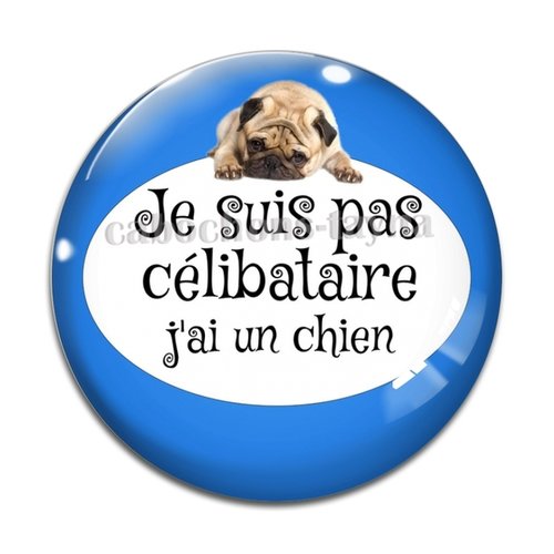 Cabochon je ne suis pas célibataire j'ai un chien, résine ou verre différente taille