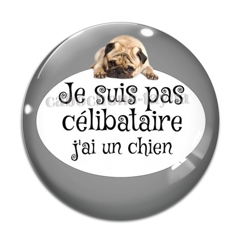 Cabochon je ne suis pas célibataire j'ai un chien, résine ou verre différente taille