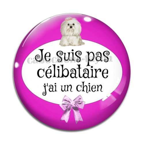 Cabochon je ne suis pas célibataire j'ai un chien, résine ou verre différente taille