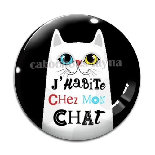 Cabochon j'habite chez mon chat, résine ou verre différente taille