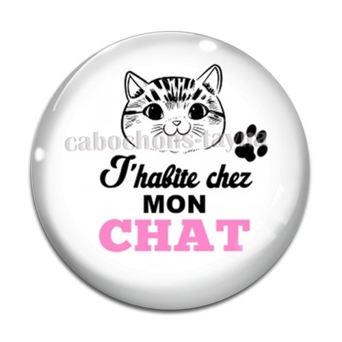 Cabochon j'habite chez mon chat, résine ou verre différente taille