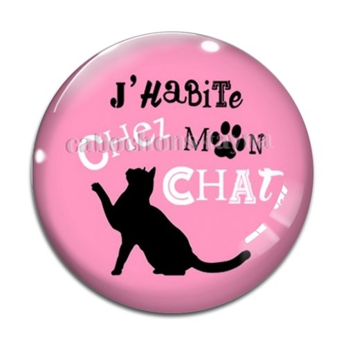 Cabochon j'habite chez mon chat, résine ou verre différente taille