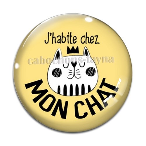 Cabochon j'habite chez mon chat, résine ou verre différente taille