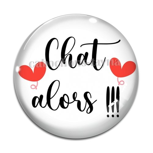 Cabochon chat alors, résine ou verre différente taille