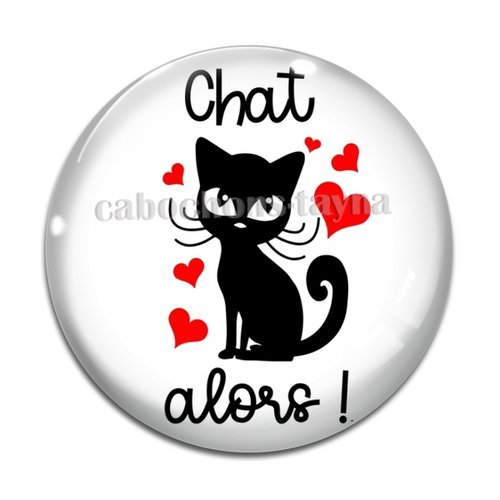 Cabochon chat alors, résine ou verre différente taille