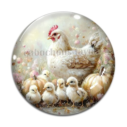 Cabochon poule, résine ou verre différente taille