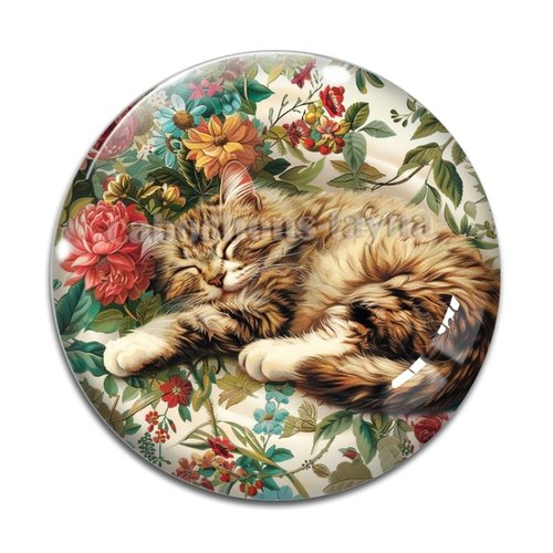 Cabochon chat, résine ou verre différente taille