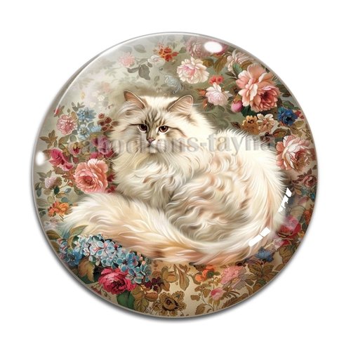 Cabochon chat, résine ou verre différente taille