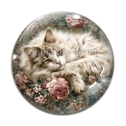 Cabochon chat, résine ou verre différente taille