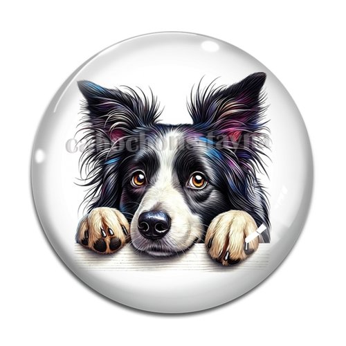 Cabochon chien, cabochon résine - ou verre rond différente taille