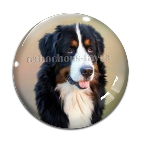 Cabochon chien, cabochon résine - ou verre rond différente taille