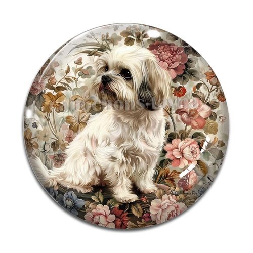 Cabochon chien, cabochon résine - ou verre rond différente taille