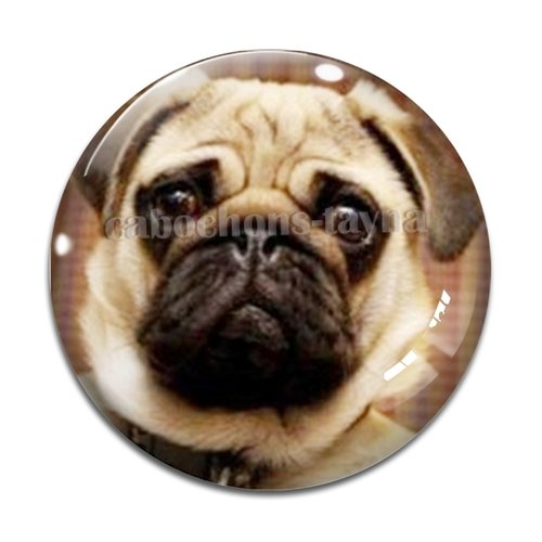 Cabochon chien, cabochon résine - ou verre rond différente taille