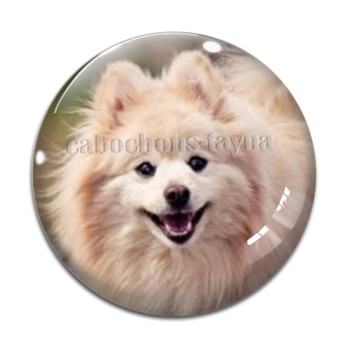 Cabochon chien, cabochon résine - ou verre rond différente taille