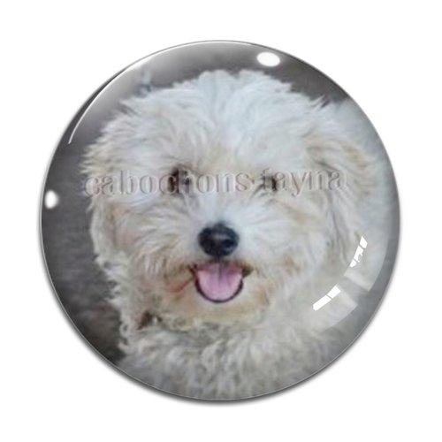 Cabochon chien, cabochon résine - ou verre rond différente taille