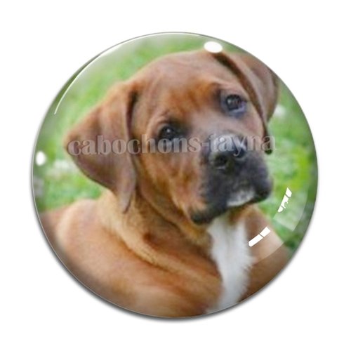 Cabochon chien, cabochon résine - ou verre rond différente taille