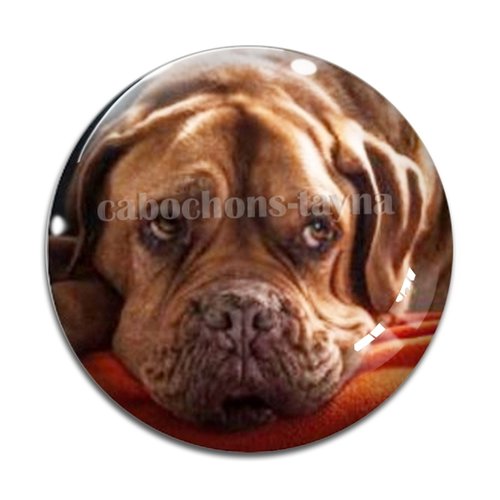 Cabochon chien, cabochon résine - ou verre rond différente taille
