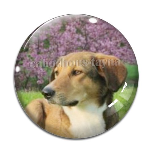 Cabochon chien, cabochon résine - ou verre rond différente taille