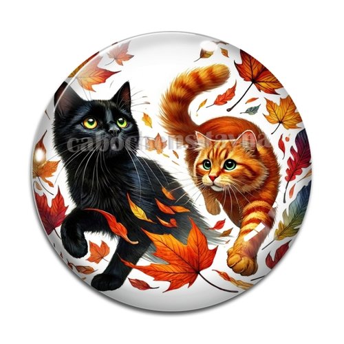 Cabochon chat, cabochon résine - ou verre rond différente taille
