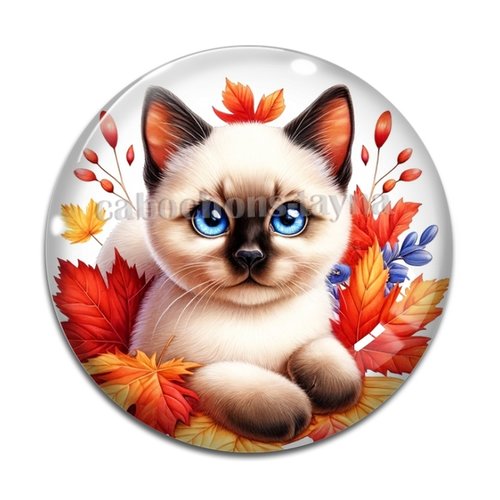 Cabochon chaton, cabochon résine - ou verre rond différente taille