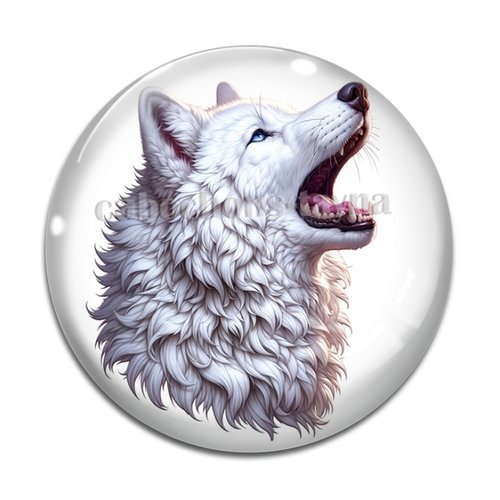 Cabochon loup, cabochon résine - ou verre rond différente taille