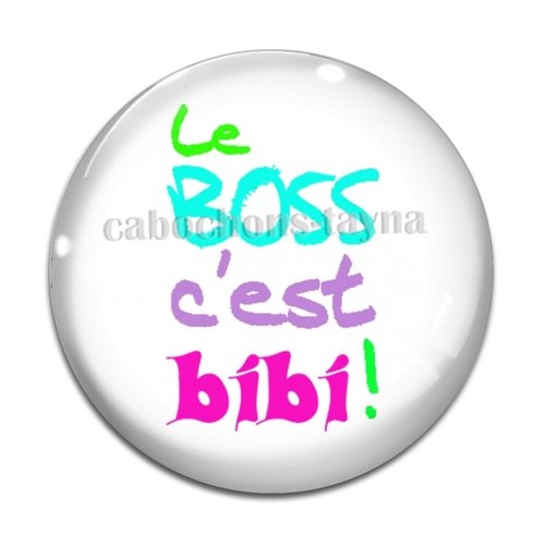 Cabochon le bosse c'est bibi, résine ou verre différente taille