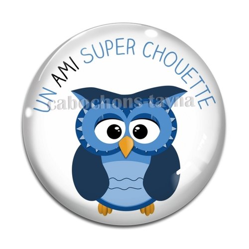 Cabochon un ami super chouette, résine ou verre rond différente taille