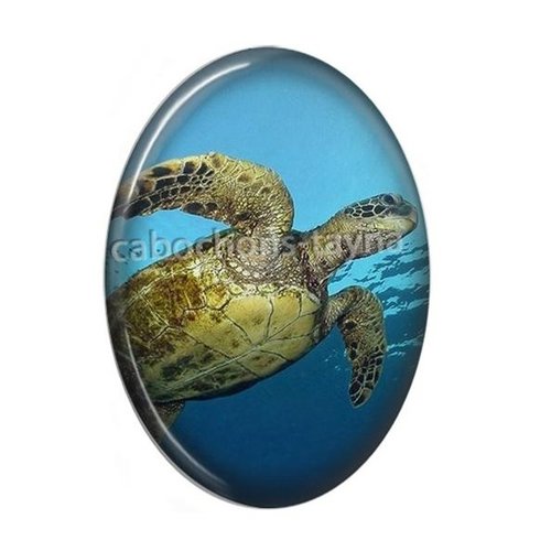 Cabochon tortue ovale, résine ou verre