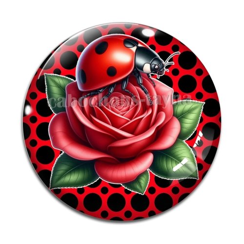 Cabochon coccinelle, cabochon résine ou verre rond différente taille