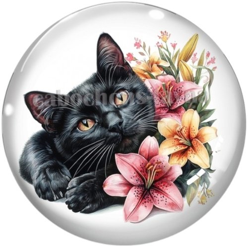 Cabochon chat, cabochon résine ou verre rond différente taille