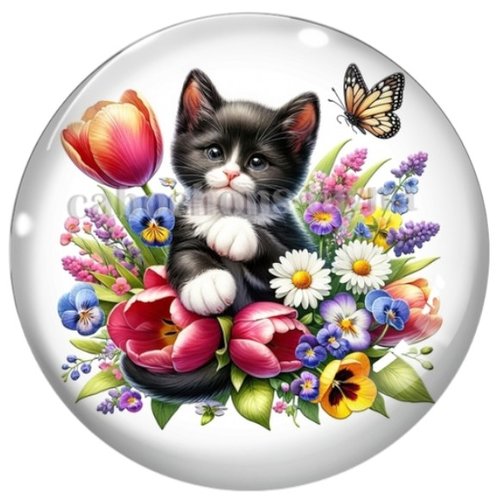 Cabochon chat, cabochon résine ou verre rond différente taille