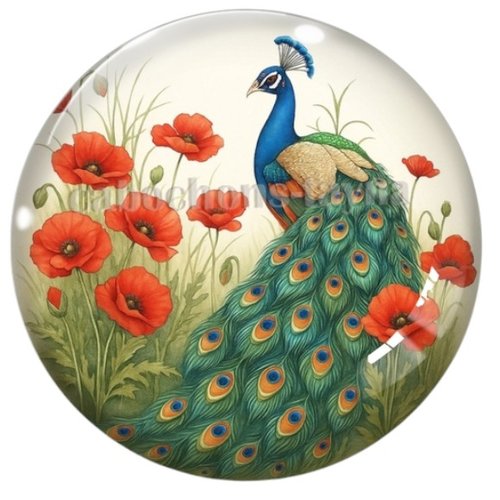Cabochon paon, cabochon résine ou verre rond différente taille